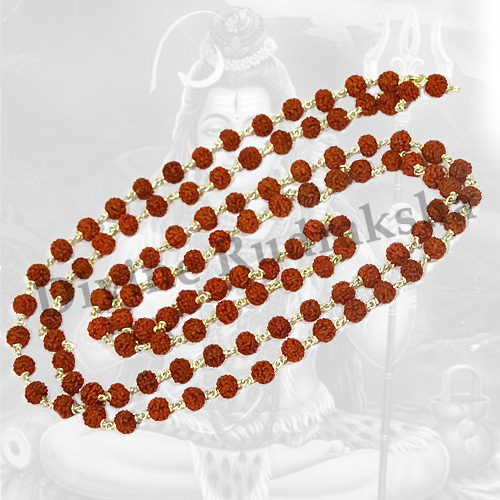 silver rudraksha